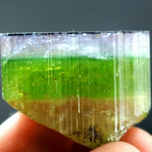 130 CT Terminated Natural Multi Color Blue Cap Tri Color Paprok TOURMALINE Crystal@AFG-19*18*18mm